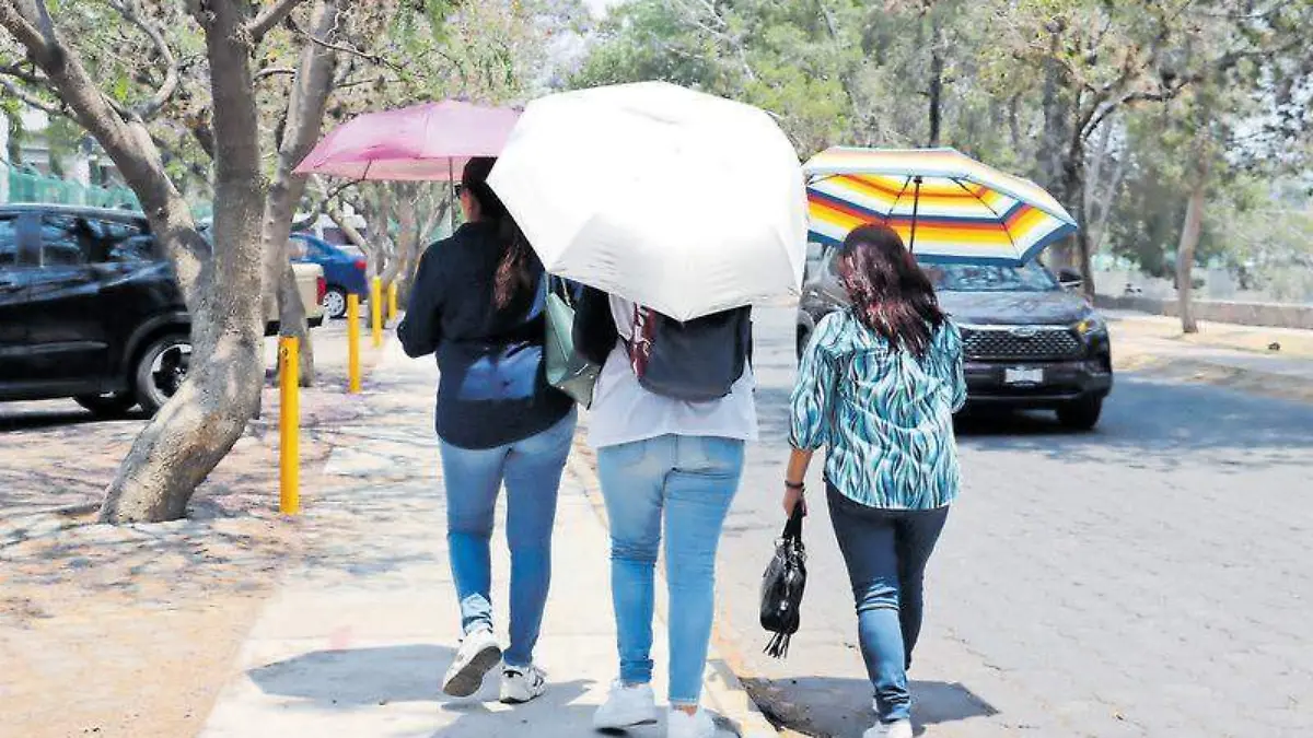 Recomendaciones ola de calor